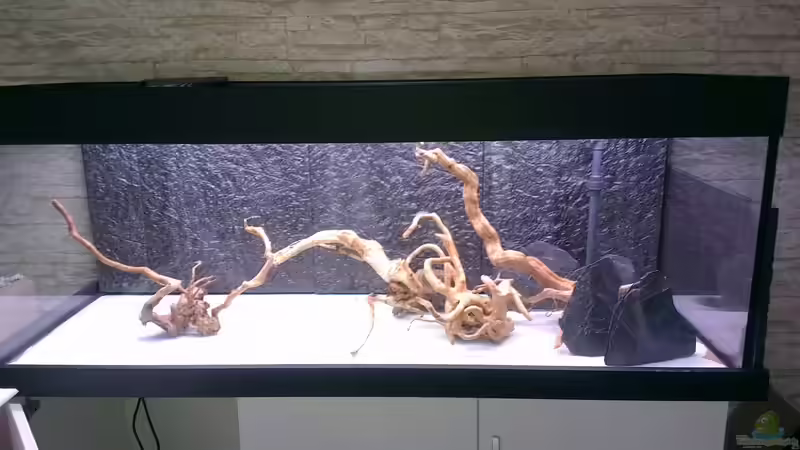 Wurzeln und Steine ohne Wasser von GothRiderz (12)