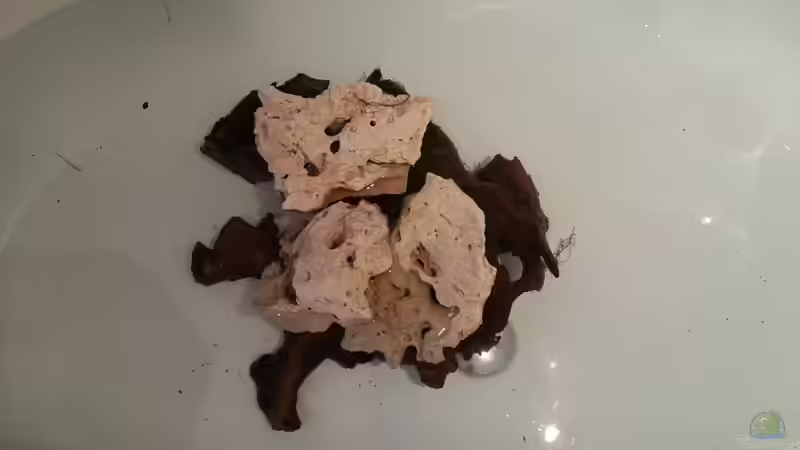 Wurzeln wässern von Michael Boeck (24)