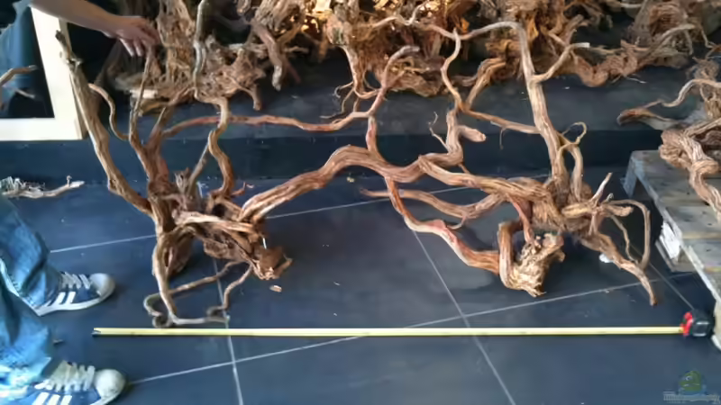 WurzelParadies von johnK (18)