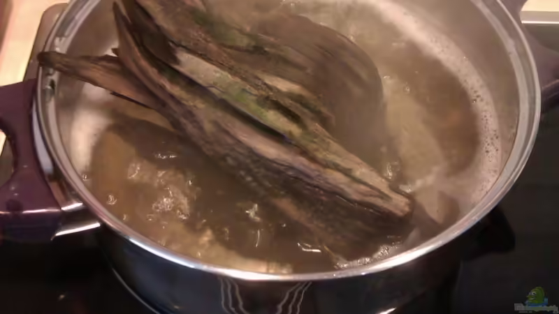 Wurzelsuppe :D von Biffty (49)