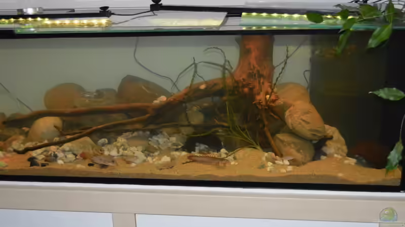 Wurzelwerk mit groben Kieseln von David Breuers (10)