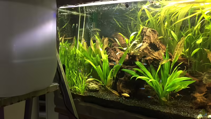 WW von Marius Stößer (48)