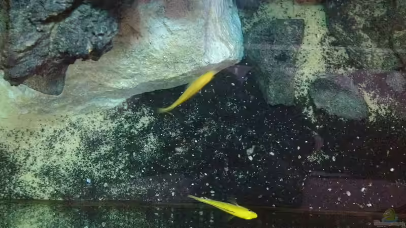 WW von oben von der Steirer (20)