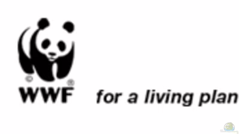 WWF von Schratze (31)