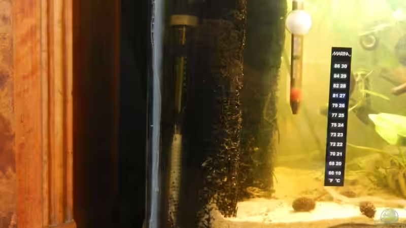 Xaxim-Platten-Filter. von miv (6)