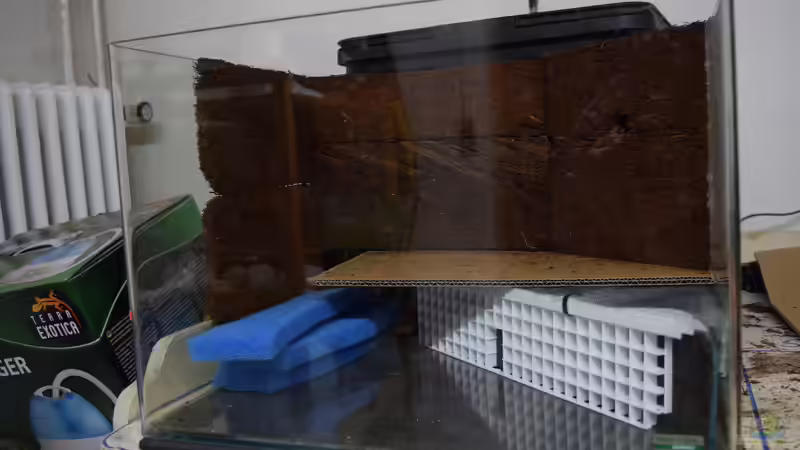 Xaximwände fertig geklebt von Junglist (5)