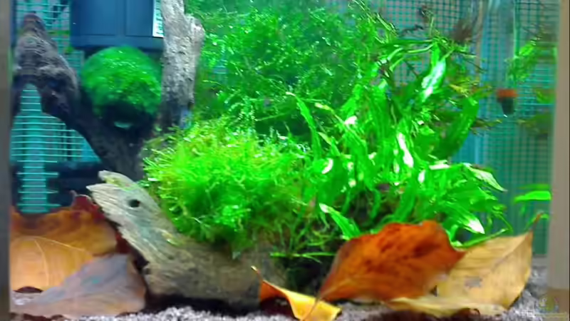 xxx von Aquadog (10)