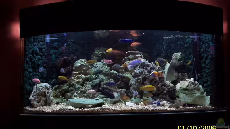 xxxxxxxxxxxx von René Ickelsheimer (2)