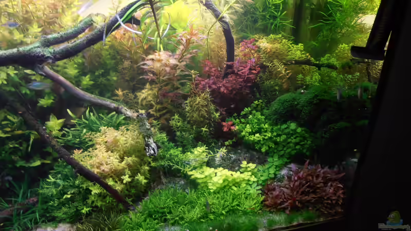 Yello Stone - kaum noch zu sehen von achim-cool (3)