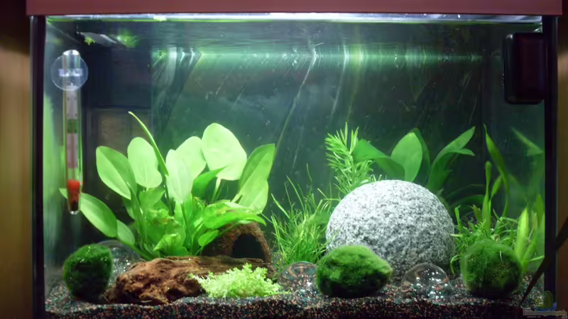 Yellow Fire Bubble Space von Brausefisch (1)