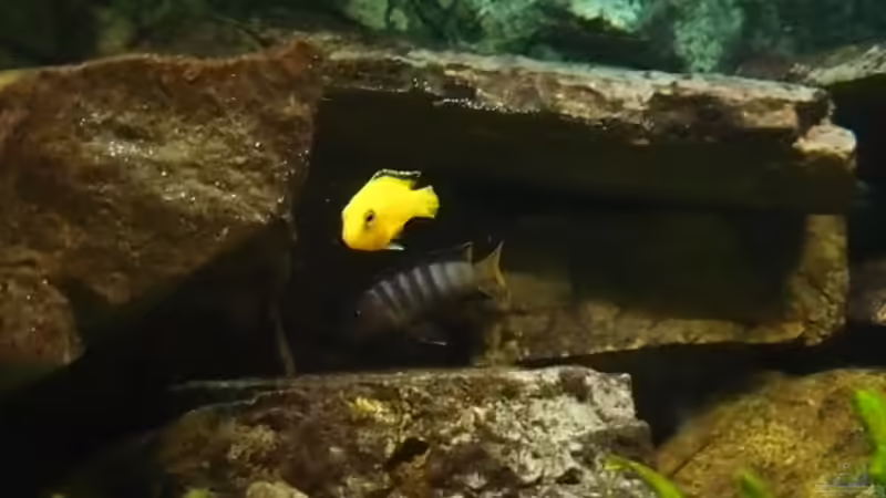 Yellow und Mpanga vor einer Höhle von joseppe (14)