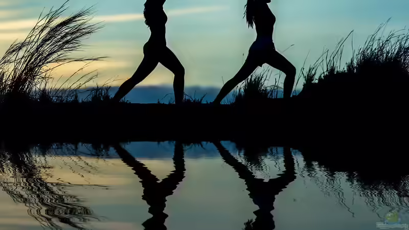 Yoga im Garten: Die perfekte Symbiose von Natur, Bewegung und innerer Ruhe