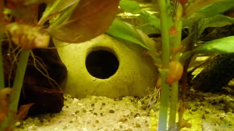 ZBB-Höle von Achim Dengler (21)