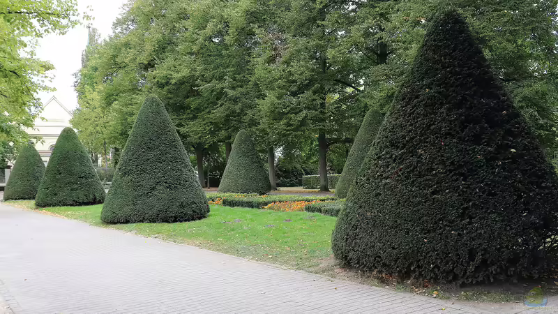 Zeitlose Gartenästhetik: Klassische Designs mit Gartenteich