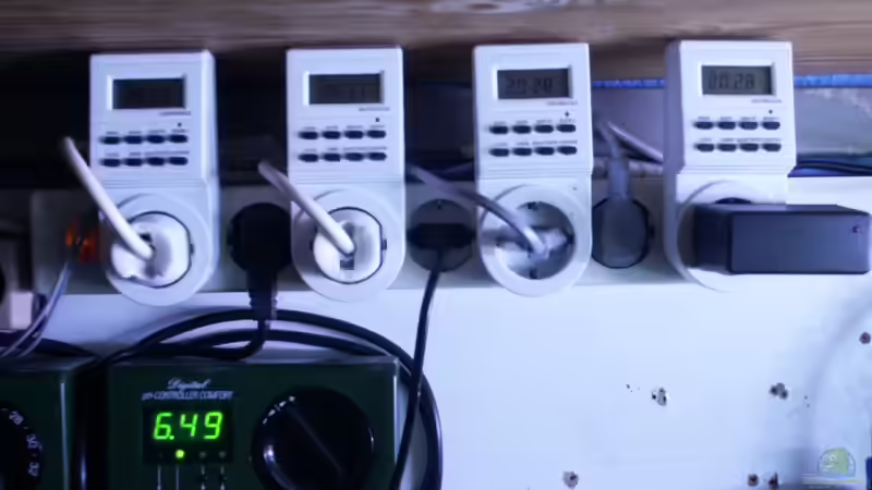 Zeitschaltuhren Licht von Dschinn (50)