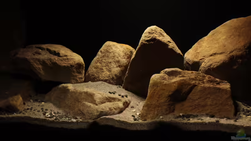 Zentralansicht (Mitte) von StevenS (4)