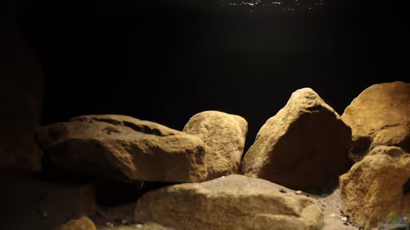 Zentralansicht (Mitte) von StevenS (8)