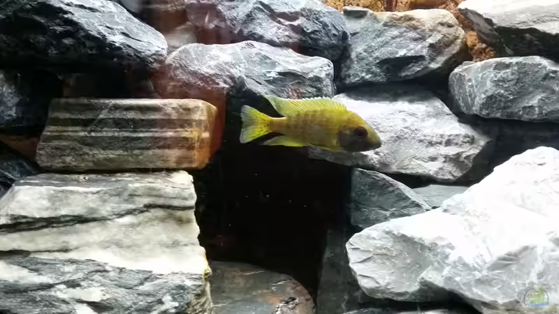 Zentralbereich - Höhle von Andreas Musterfisch (10)