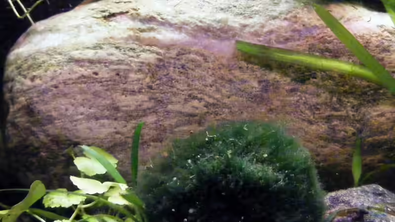 Zentraler Granitstein von Falk (18)