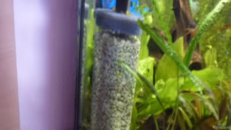 Zeohlit Gehäuse von 19maxi96 (20)