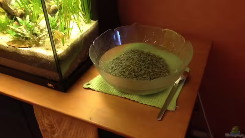 Zeolith regeneriert in Salz-Lösung von Andrea Rüter (23)