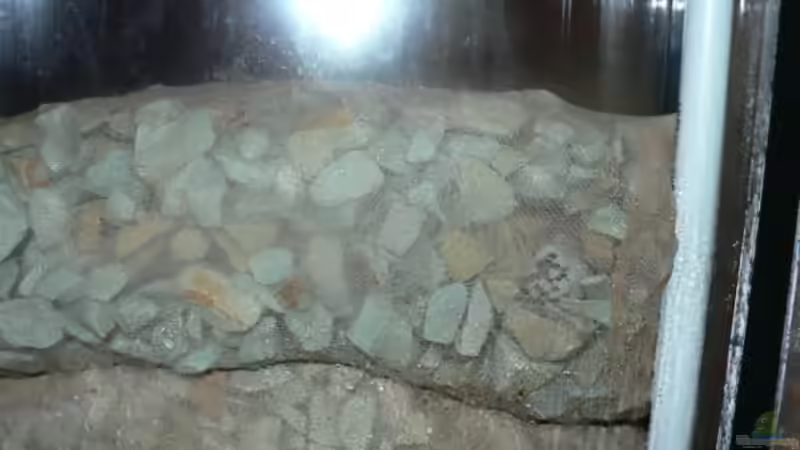 Zeolithkammer von Zapfenmanderl (10)