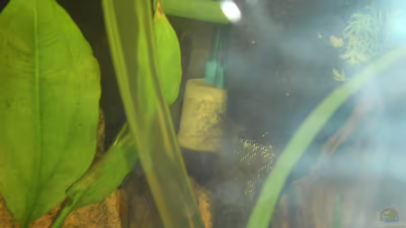 Zeolithreaktor der Co2-Anlage von ChillingTurtle (19)