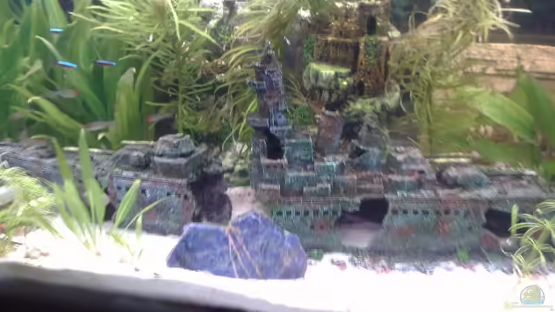 Zerstörer von Chris Krabbe (9)