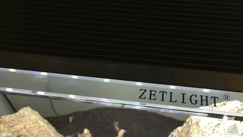 Zetlight 1200 von Chris_R. (31)