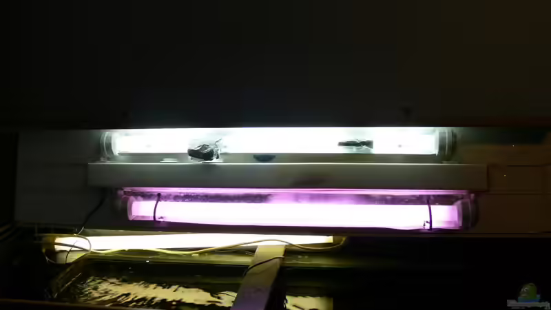 Ziemlich hell so zu Arbeiten nicht mehr vorhanden von DominikZ (21)