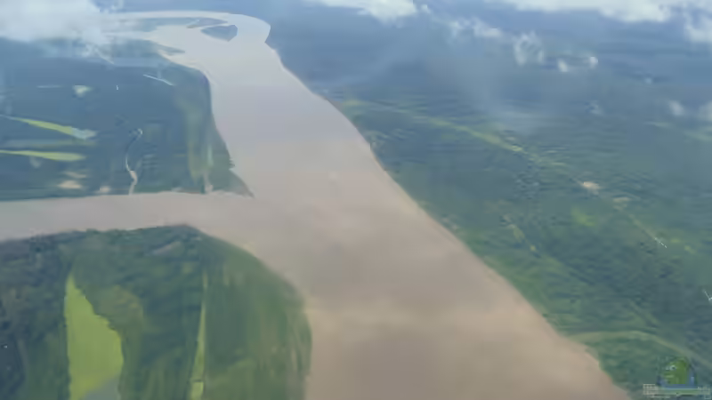 Zierfische aus dem Amazonas