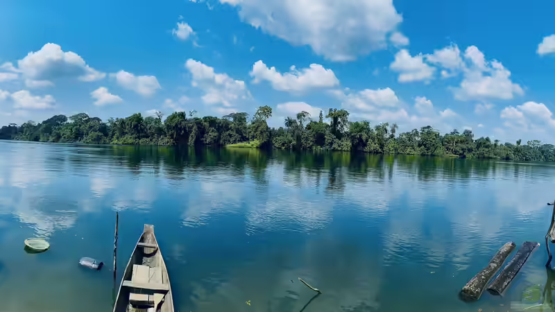 Zierfische aus Kamerun - Artenvielfalt, Haltung und Besonderheiten