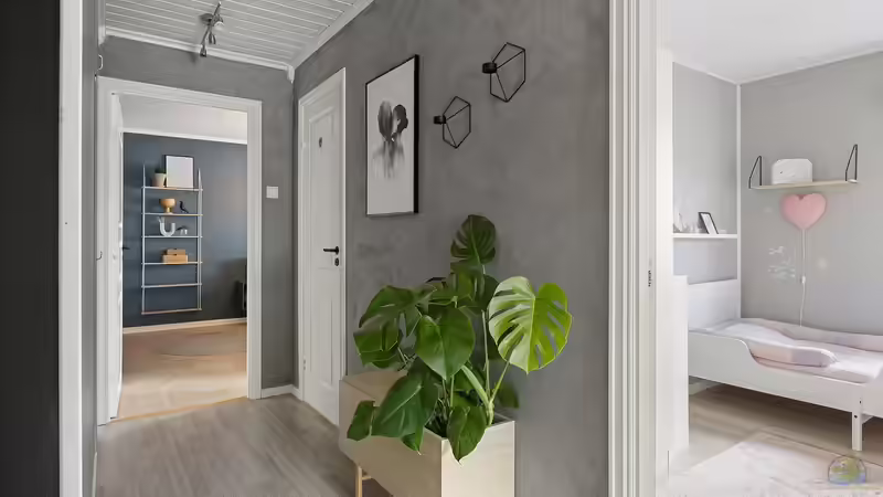 Zimmerpflanzen im Winter von Tom