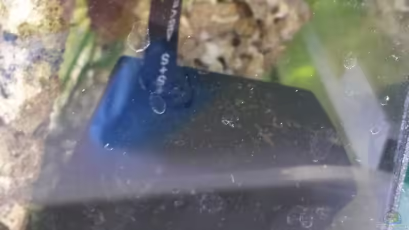 Zimmerspringbrunnenpumpe im Einsatz! von ogra (12)