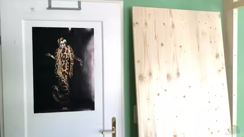 Zimmertür zum Terrarium... Das Poster zeigt den Python und mich - wir waren vor von Helga Kury (9)