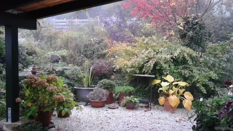 Zinkwannenecke im Herbst 2015 von Grünhexe (19)