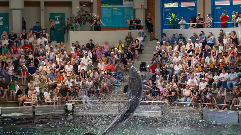 Zoo Duisburg - Ein Natur- und Erlebnisort mit Geschichte, Haltungskonzepten und Artenschutz