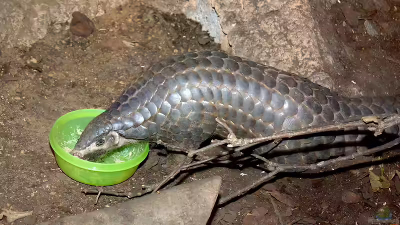 Zoo Leipzig - Ein Paradies für Tierfreunde, Naturentdecker und Aquarienliebhaber