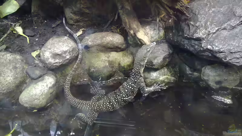 Zoo Leipzig - Ein Paradies für Tierfreunde, Naturentdecker und Aquarienliebhaber