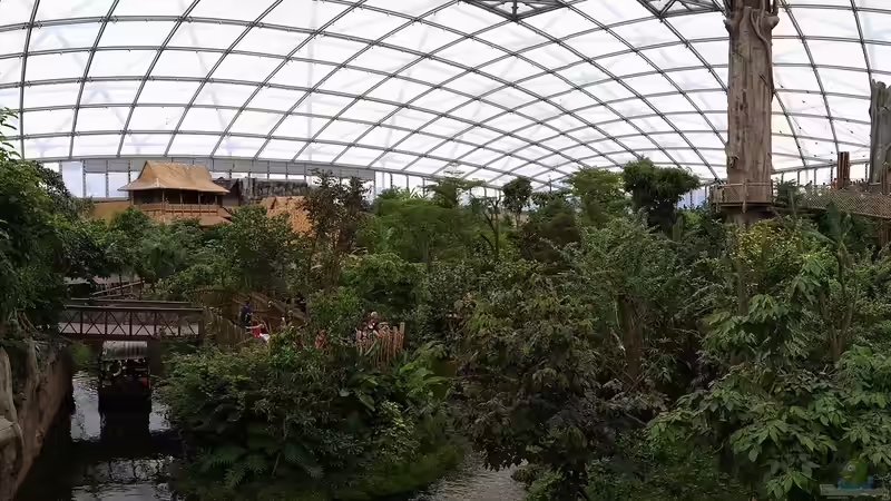 Zoo Leipzig - Ein Paradies für Tierfreunde, Naturentdecker und Aquarienliebhaber