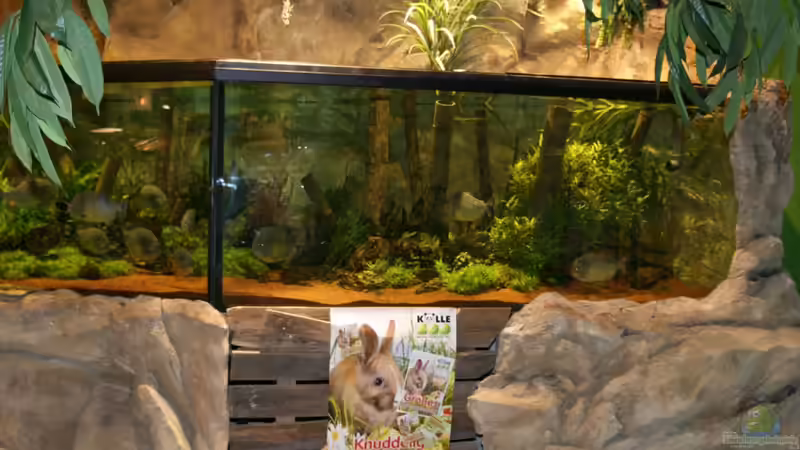 Zoobesuch als Erlebnisshopping bei Kölle-Zoo