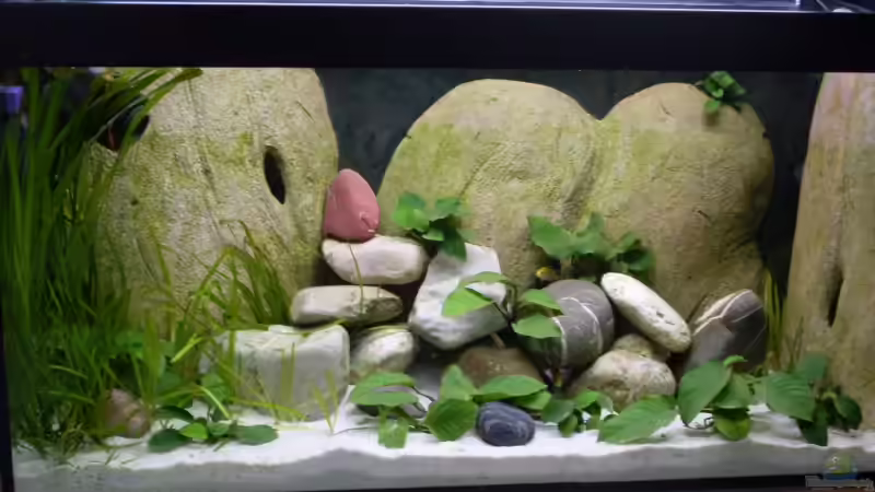 zu Anfangs von Vom (2)