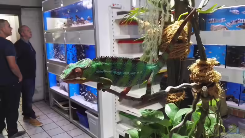 Zu Besuch beim Aqua-Treff in Meerbusch