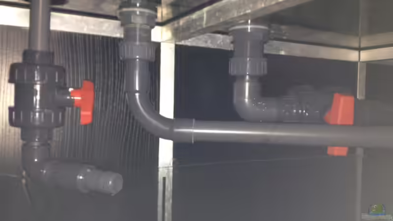 Zu-Not- und Ablauf! von Polski (11)