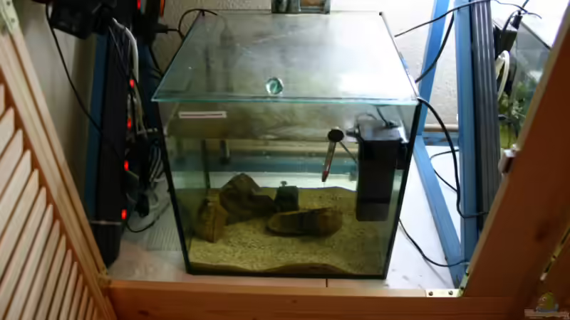 Zuchtbecken 1 40x40x40 von Daniel Hieber (9)