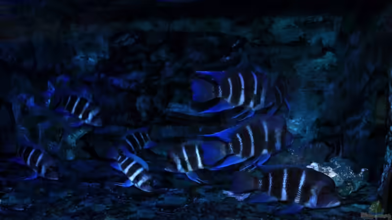 Zufallsfoto von Hanno K (12)