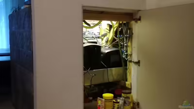 Zugang Filter von Asta (4)