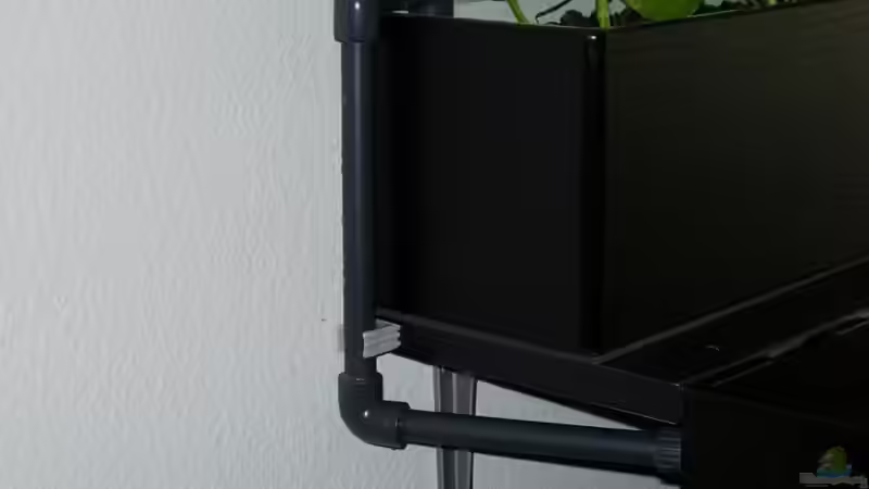 Zulauf  von Daniel Riedel (14)