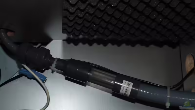 Zulauf links von TimBo1781 (5)