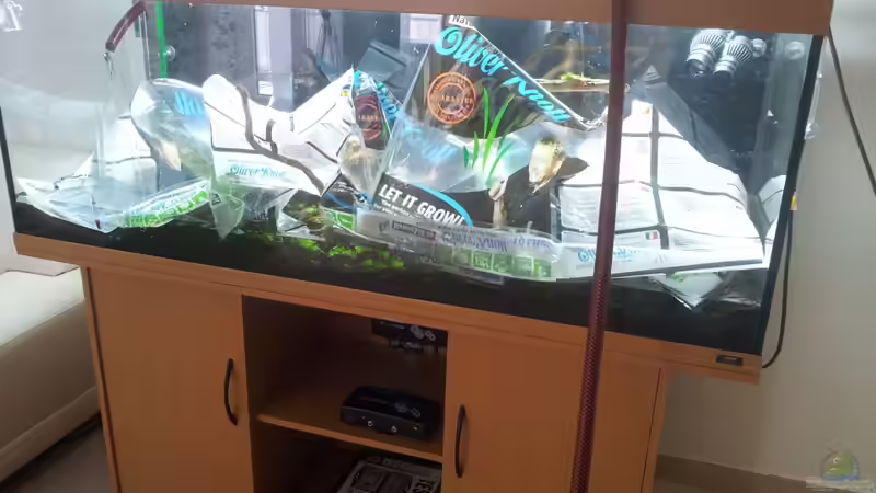 Zum befüllen habe ich die säcke vom naturesoil aufgeschnitten und über die einrichtung von Panamericana85 (5)